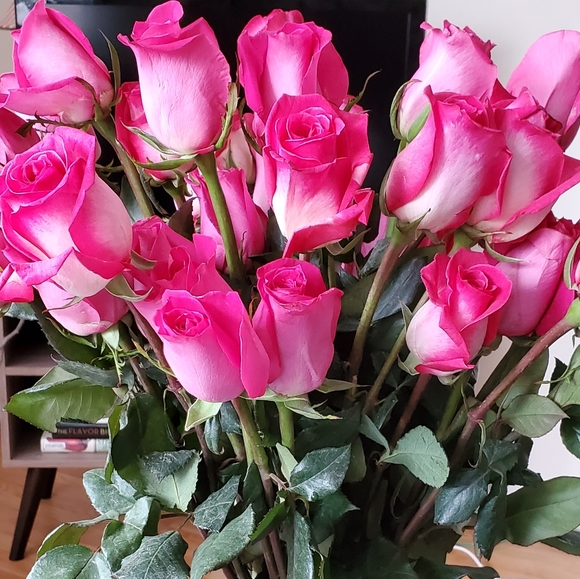 Make a bundle. Or an offer! - Picture 1 of 1